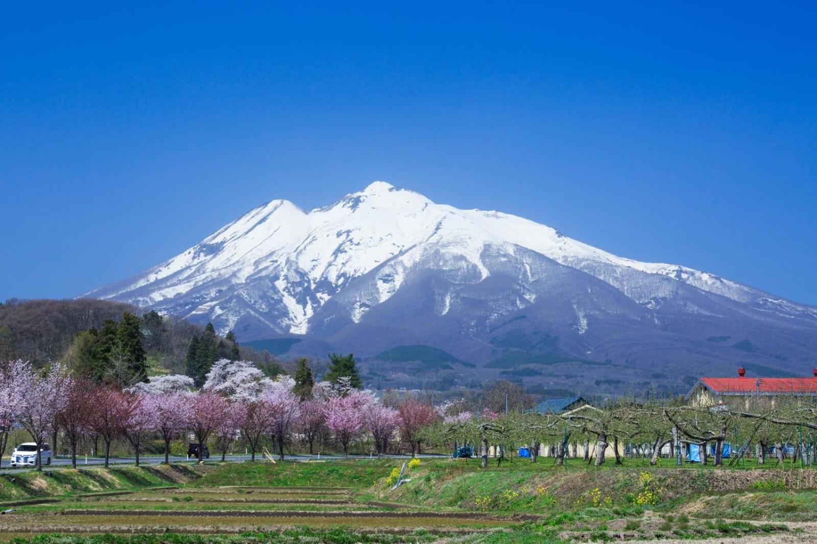 Hirosaki Park Hotel Aomori Eksteriør billede