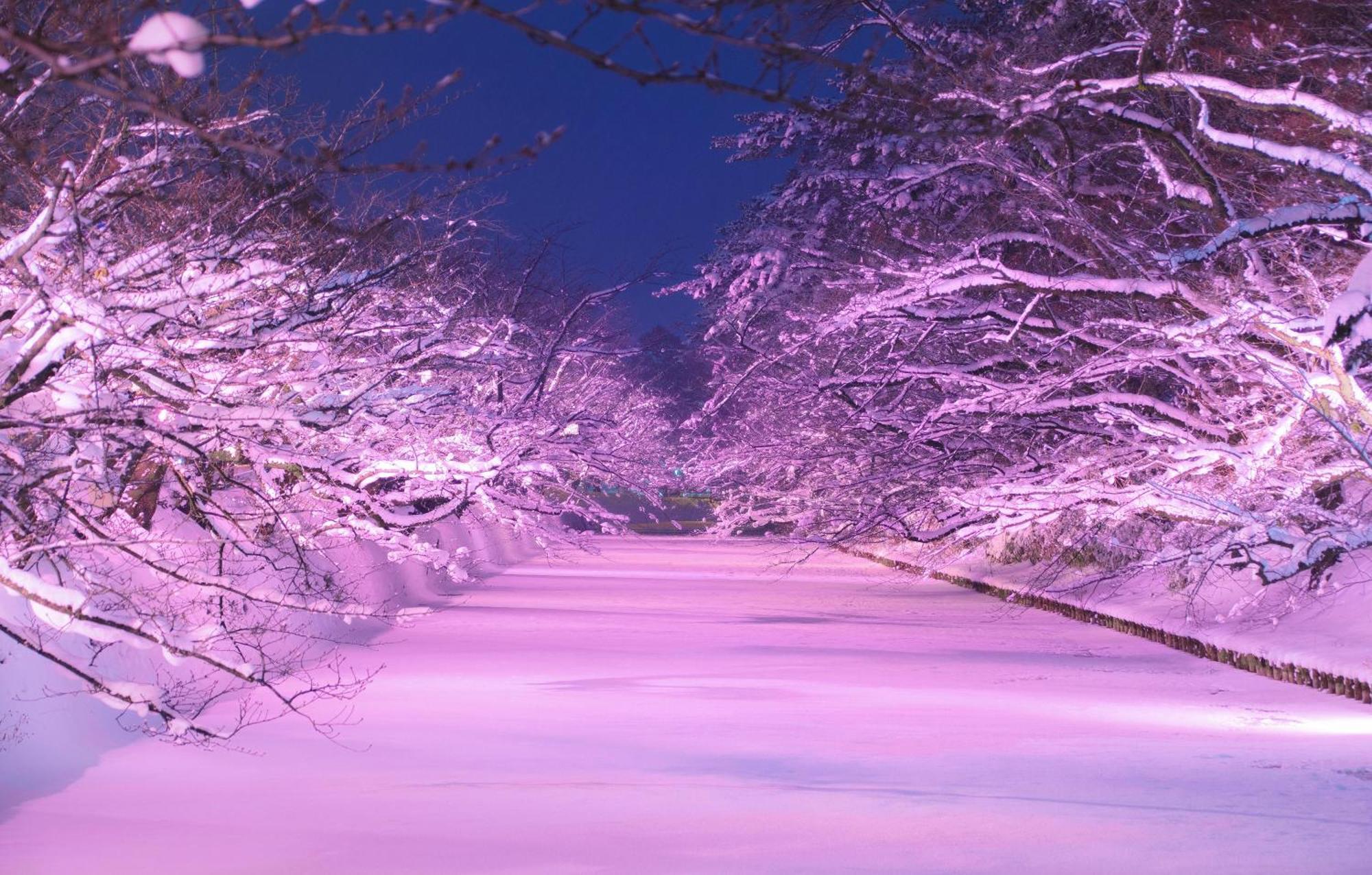 Hirosaki Park Hotel Aomori Eksteriør billede